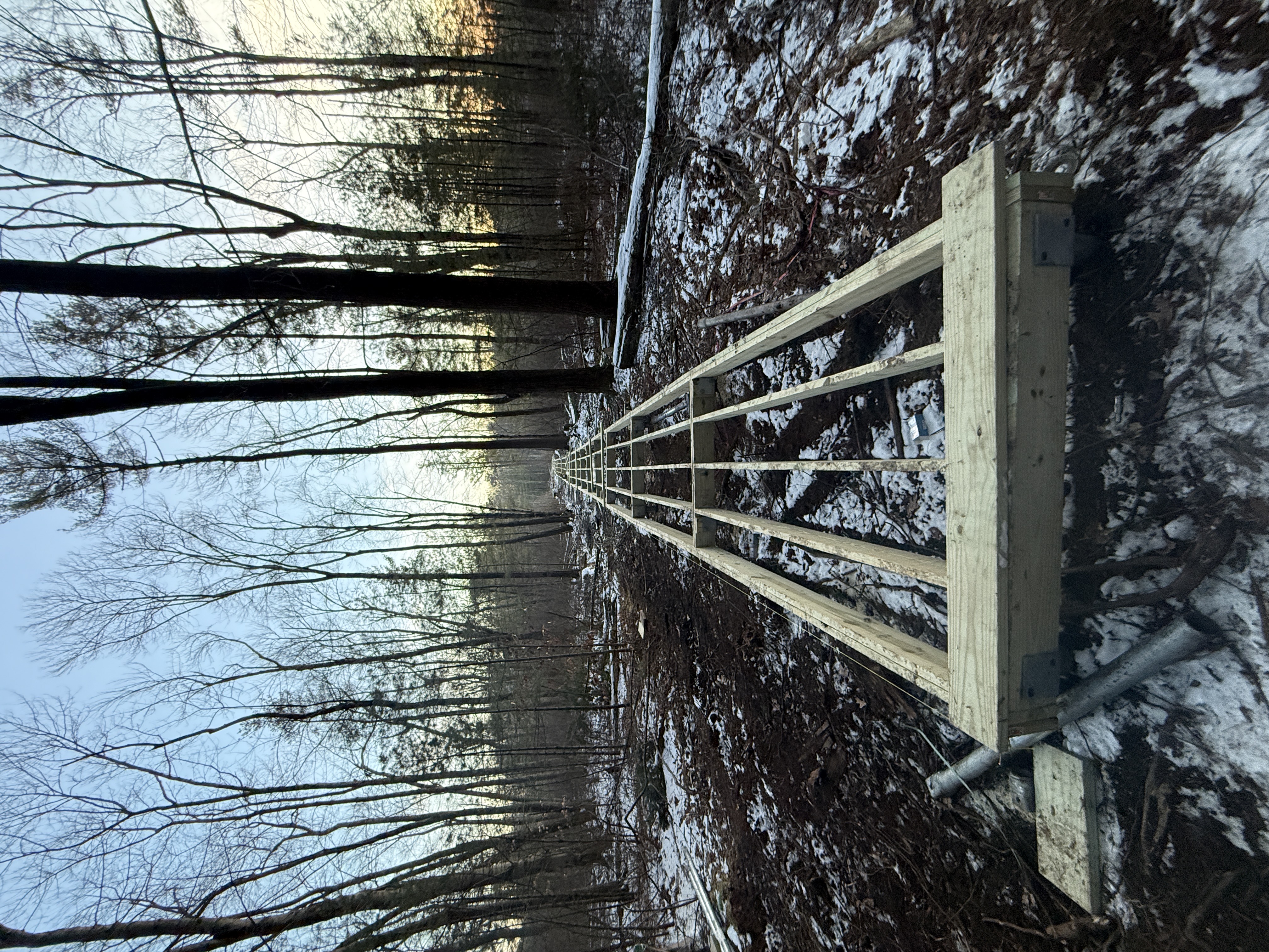 Foundation Framing - Floor Joist Installation in Wooded Site